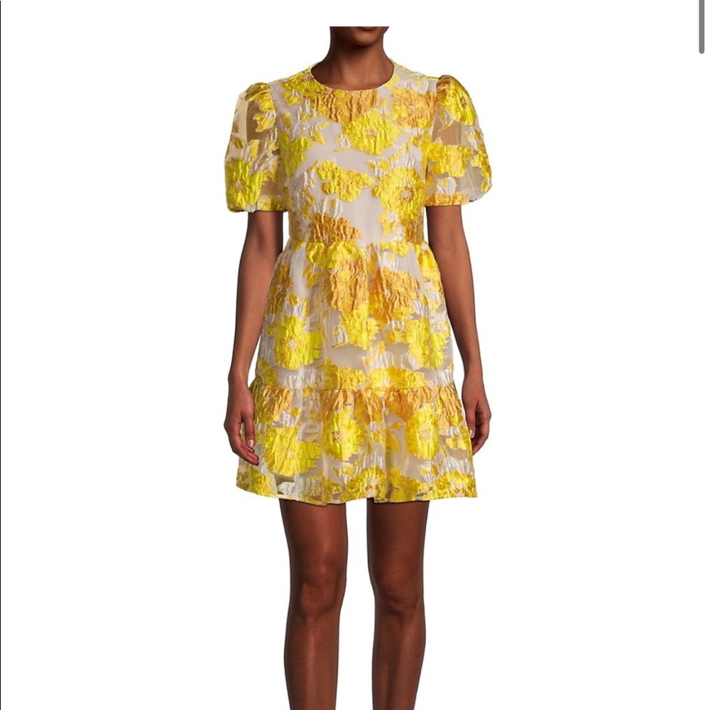 Elliatt Progressive Puff-Sleeve Dress